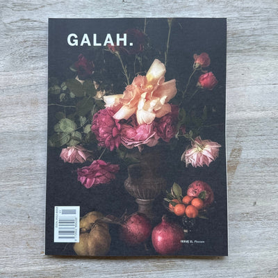 Galah Magazine Volume 11