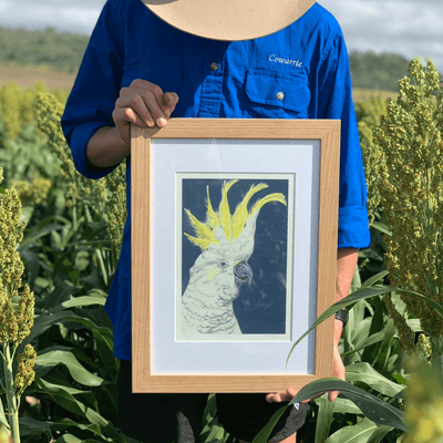 'Cyril' Cockatoo - A4 Framed Limited Edition Print